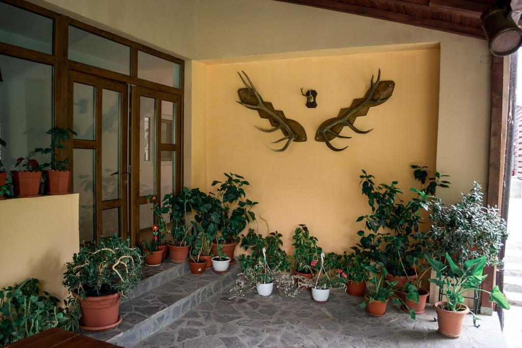 Pensiunea Bujorul Comana Exterior foto